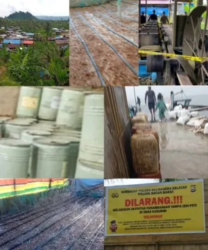 Diduga Beck Up Pengusaha Kebal Hukum Aktifitas PETI Di Kusibibi Berbagai Kasus Dilokasi Police line Polres Halsel