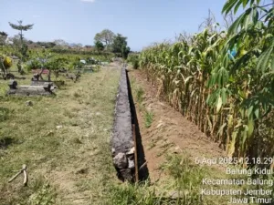 Diduga Proyek Siluman, Pembangunan Drainase TPT Tanpa Papan Informasi. Di Desa Balung Kidul, Balung. Jember