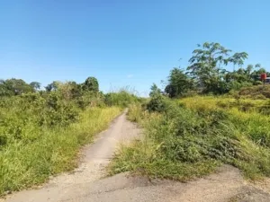 Akses jalan Perkantoran dan jalan mandi angin/ kl napal – taman kuliner tidak terawat sudah menjadi semak belukar.