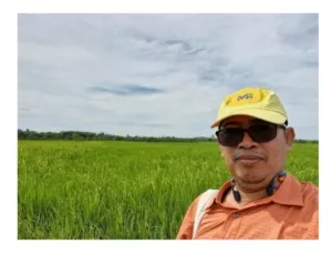 PEMERINTAH KABUPATEN SAMBAS DORONG TANAM PADI IP300.