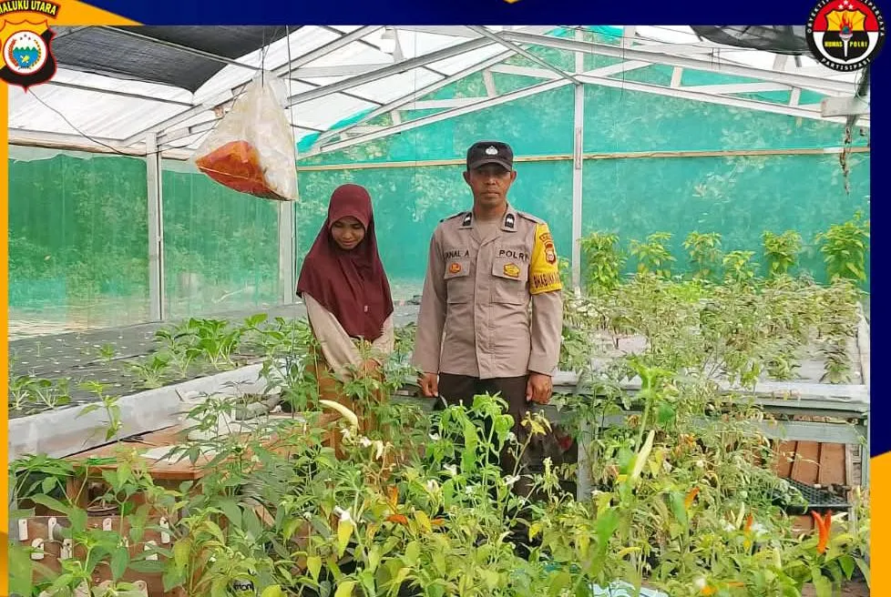 Dukung Ketahanan Pangan, Bhabinkamtibmas Desa Todoli Pantau Kebun Cabai Milik Warga Binaan