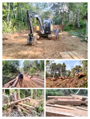 Aktivis Di Duga Ilegal Logging Mantan Guru SD Inisial ITR Alih – Alih Menggunakan Izin Koperasi