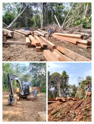 Dugaan Ilegal Logging Di Sandung Tambun Belum Juga Diproses, Kapolda Kalteng Diminta Terjun Langsung