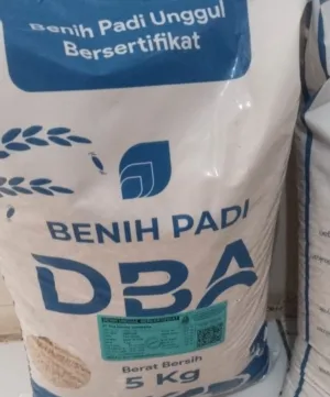 Verifikasi lapangan segera di lakukan agar bantuan benar-benar tepat sasaran