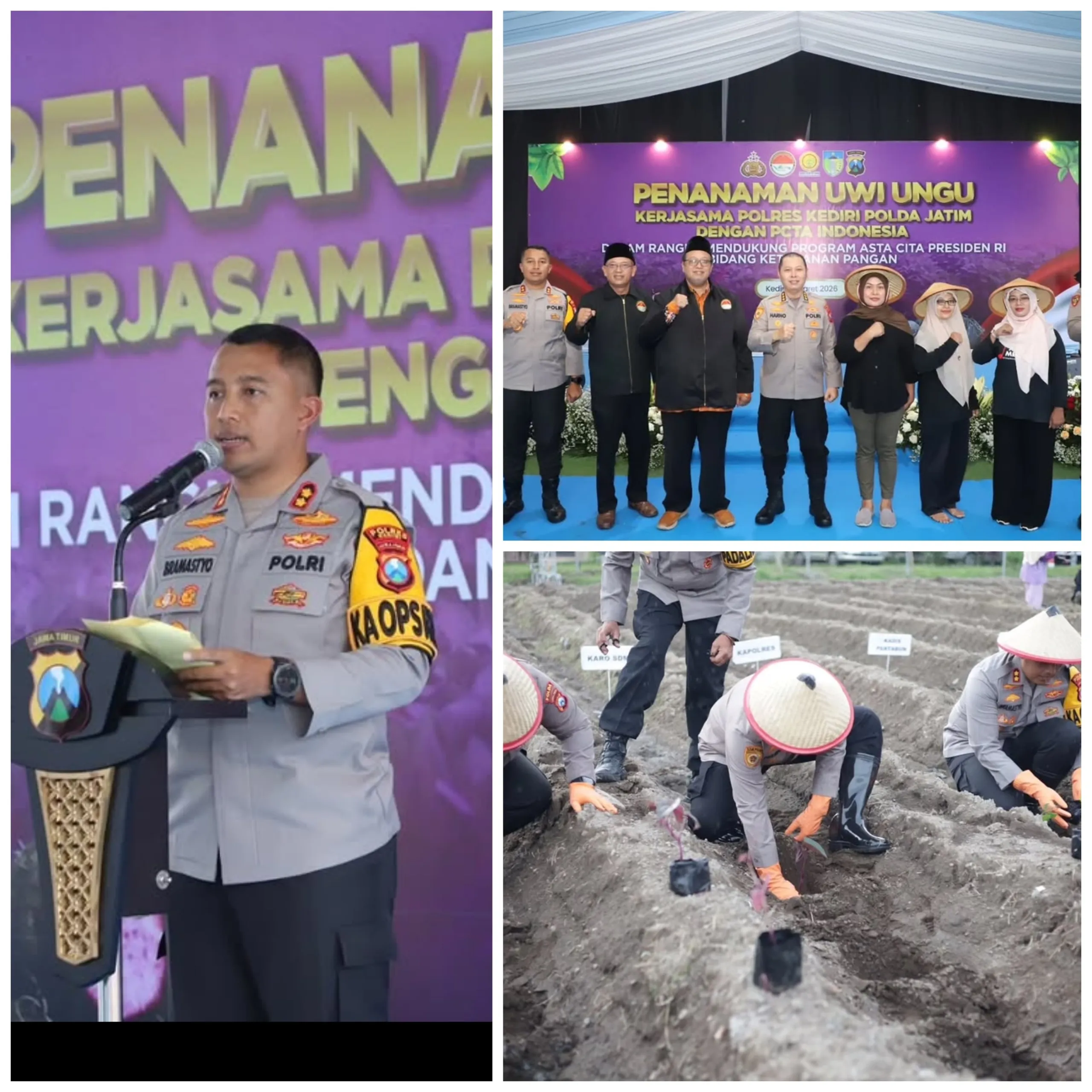 Polres Kediri Tanam 3.000 Bibit Uwi Ungu, Sinergi Polisi dan Petani Wujudkan Ketahanan Pangan
