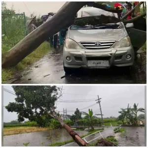 Puting Beliung di Kediri: Mobil Tertimpa Pohon Bangunan Rusak dan Listrik Padam