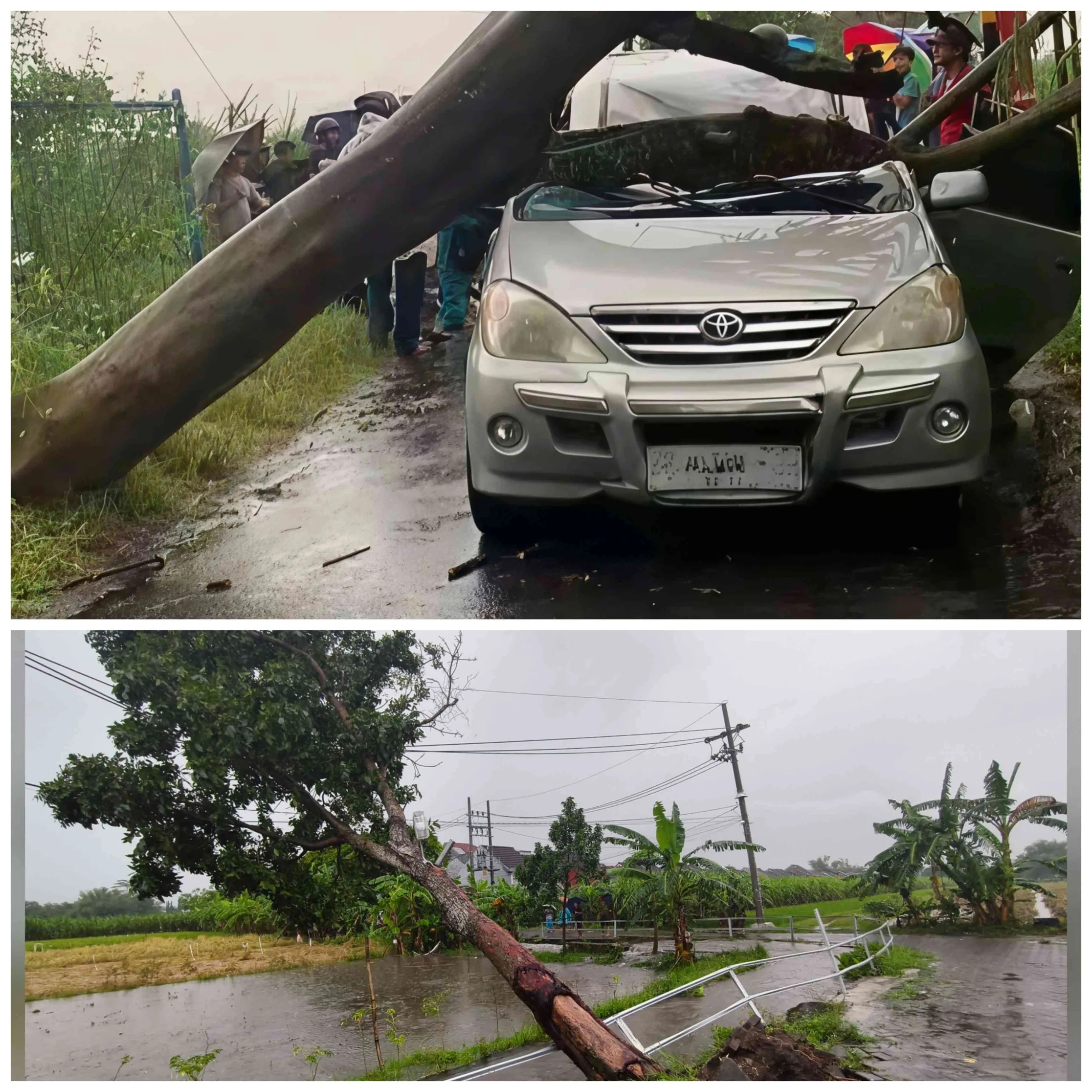 Puting Beliung di Kediri: Mobil Tertimpa Pohon Bangunan Rusak dan Listrik Padam