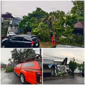 Kediri Diguyur Hujan Disertai Angin Dan Butiran Es, Pohon Tumbang di Sejumlah Titik