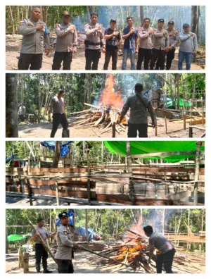 Polsek Silat Hilir Bertindak Tegas ! Arena Judi Sabung Ayam di Dusun Keranji di gerebek, Warga apresiasi langkah cepat Polisi Kapuas Hulu